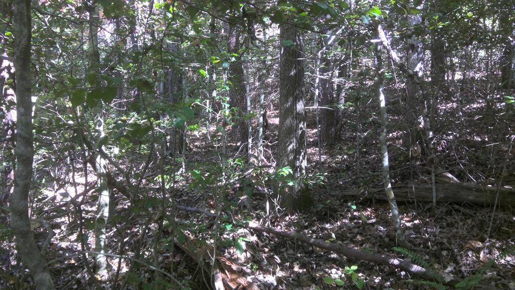Photo of LT 18 Mountaineer Rd, Whittier, NC 28789 (MLS # 26042419)