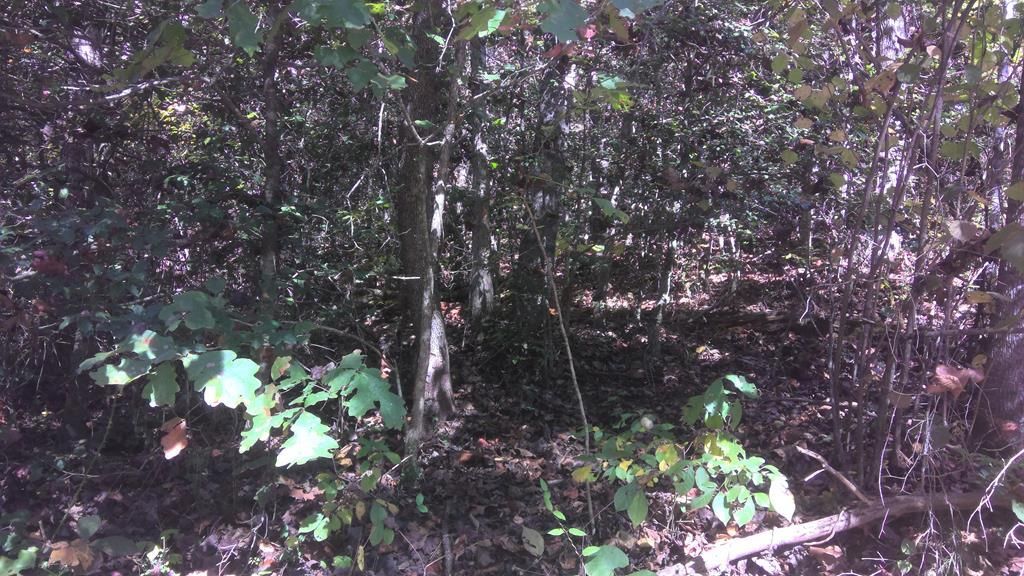 Photo of LT 18 Mountaineer Rd, Whittier, NC 28789 (MLS # 26042419)