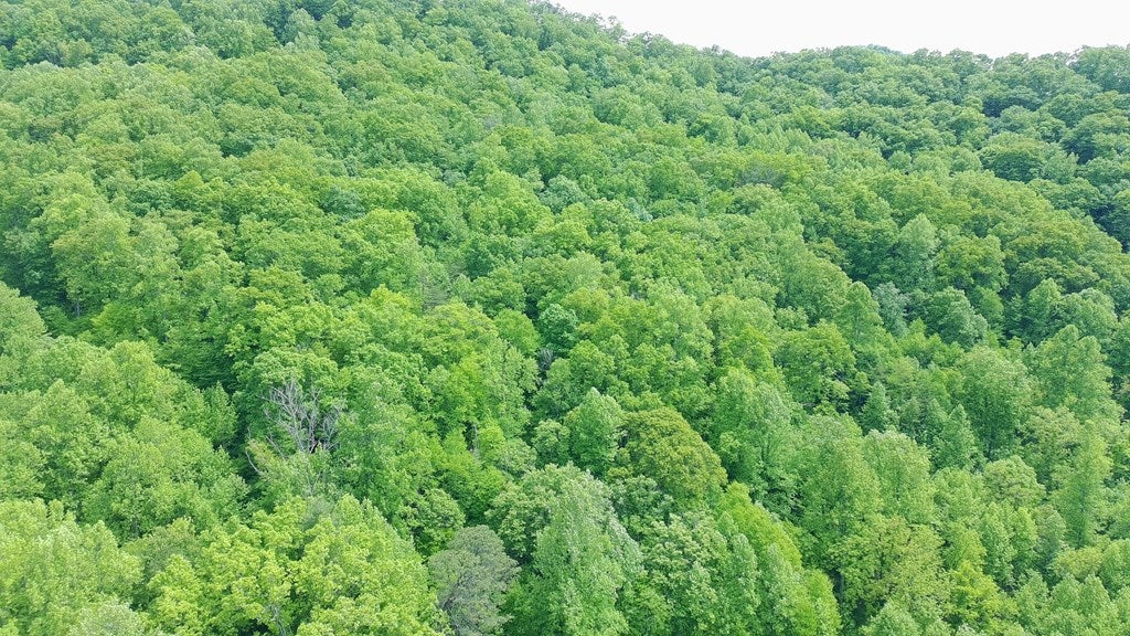Photo of 0 Off Of Mountainaire Ridge, Sylva, NC 28779 (MLS # 26047516)