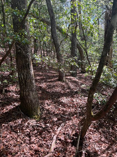 Photo of Lot 1 Highlands Pass, Franklin, NC 28734 (MLS # 26041040)