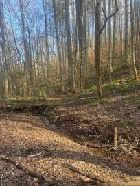 0 Wide Horizon Dr. Franklin NC 28734