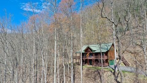 Photo of 233 Sunset Point, Bryson City, NC 28713 (MLS # 26042168)