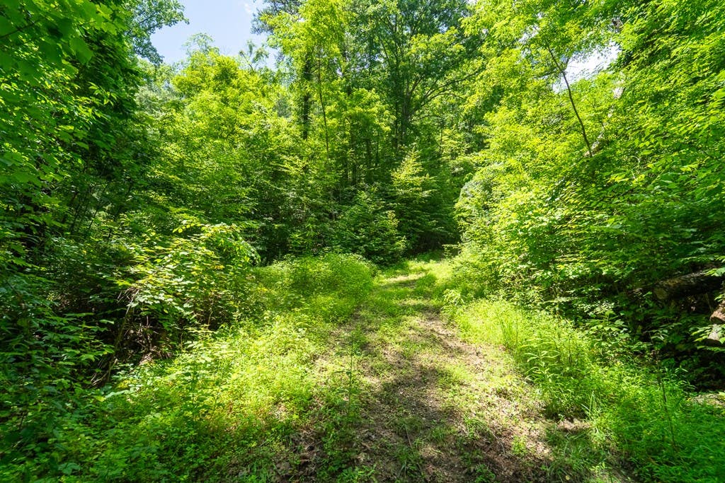 Photo of TBD Indian Flats Dr, Sylva, NC 28779 (MLS # 26048128)
