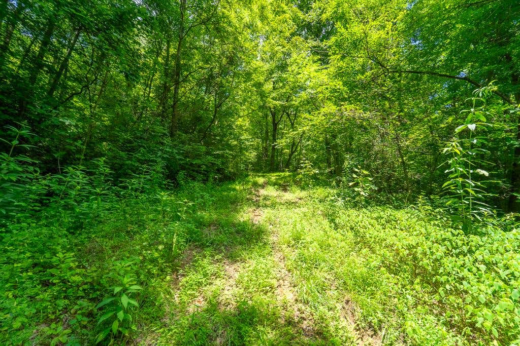 Photo of TBD Indian Flats Dr, Sylva, NC 28779 (MLS # 26048128)