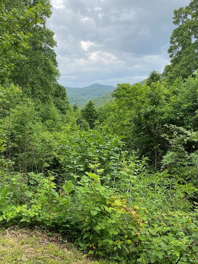 Photo of Lot 18 Garnet Rd, Sylva, NC 28779 (MLS # 26048097)