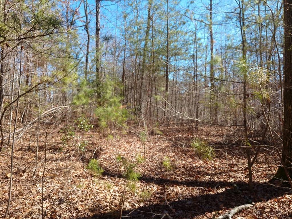 Photo of 14-17 Fortner Avenue, Bryson City, NC 28713 (MLS # 26040482)