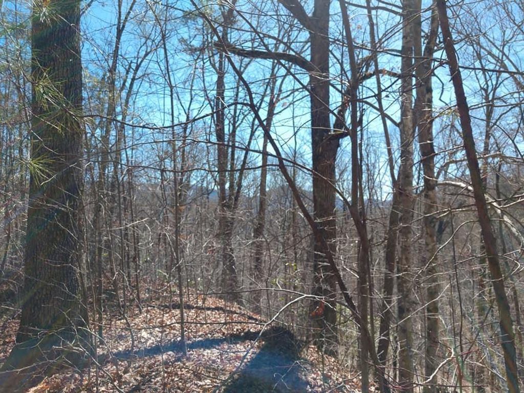 Photo of 14-17 Fortner Avenue, Bryson City, NC 28713 (MLS # 26040482)