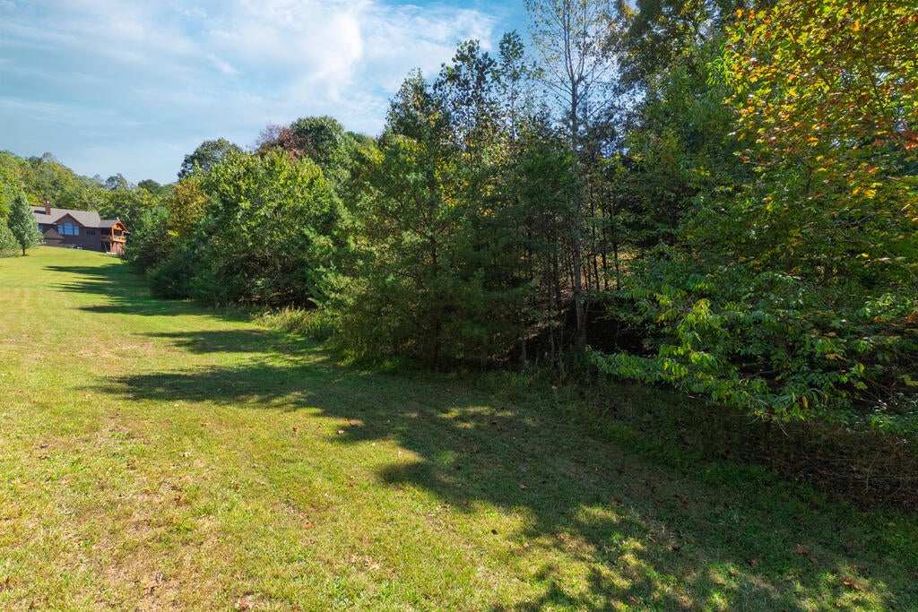 534 Porter Creek