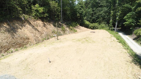 Photo of 90 Cline Branch Rd, Bryson City, NC 28713 (MLS # 26047498)