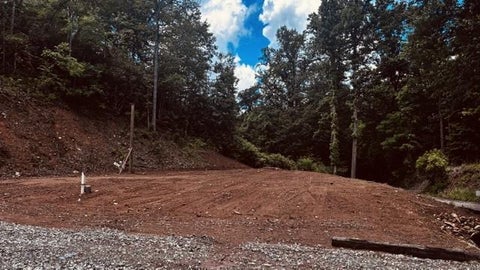 Photo of 90 Cline Branch Rd, Bryson City, NC 28713 (MLS # 26047498)