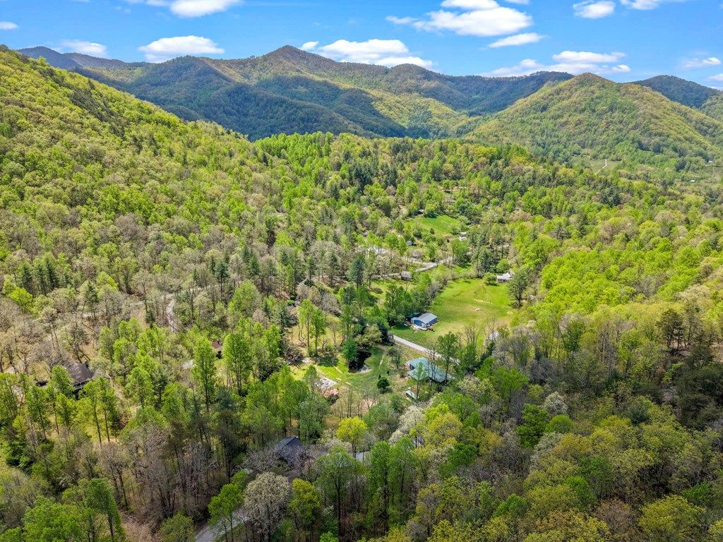 Photo of 1813 Cedar Creek Farms Road, Tuckasegee, NC 28783 (MLS # 26047001)