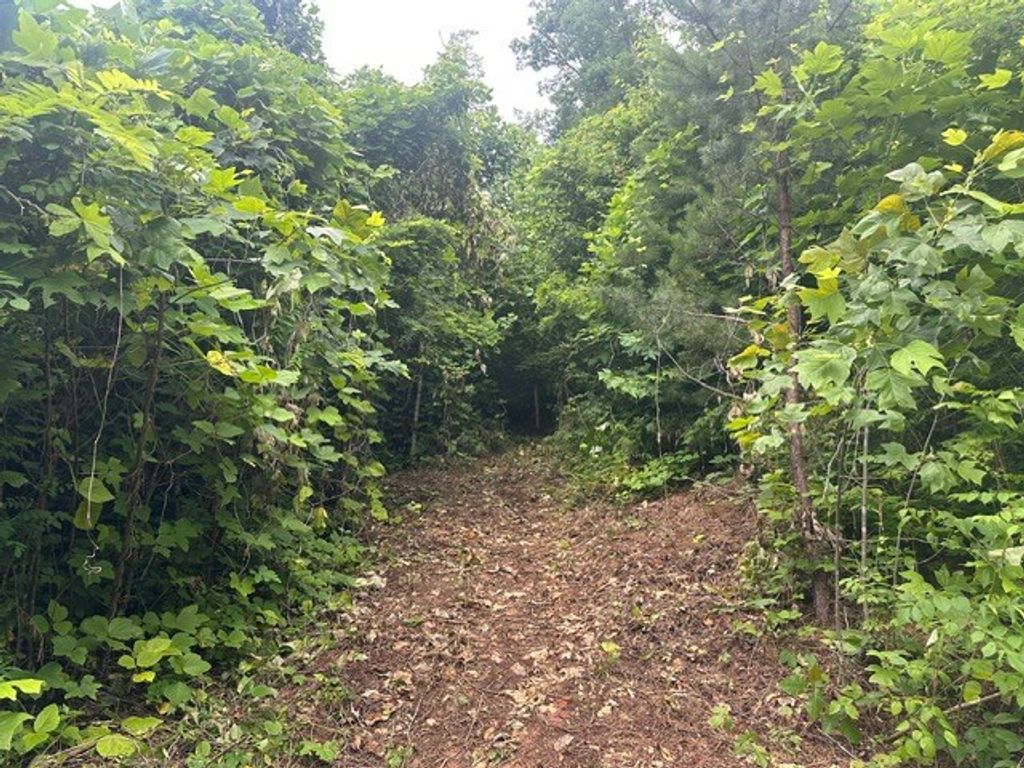 Photo of 0 Cope Creek Road, Sylva, NC 28779 (MLS # 26041313)