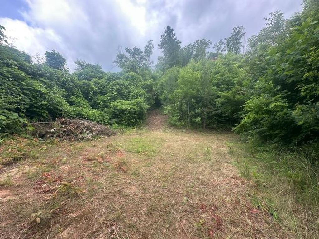 Photo of 0 Cope Creek Road, Sylva, NC 28779 (MLS # 26041313)