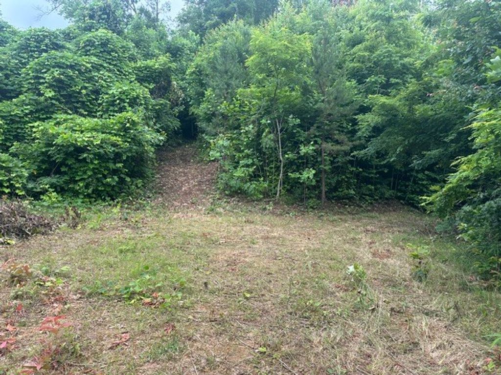 Photo of 0 Cope Creek Road, Sylva, NC 28779 (MLS # 26041313)