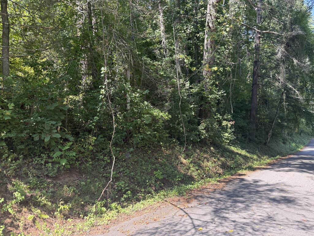 00 E Dogwood Drive