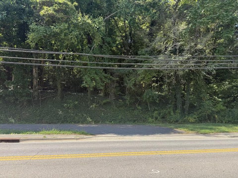 Photo of 00 E Dogwood Drive, Franklin, NC 28734 (MLS # 26048518)