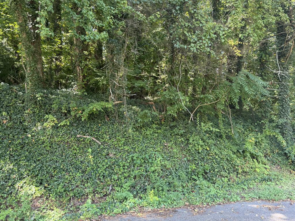 00 E Dogwood Drive