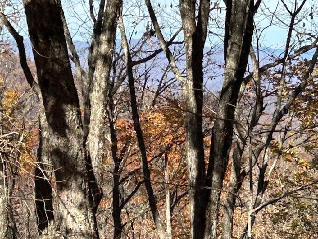 Photo of Whittier, NC 28789 (MLS # 26042759)