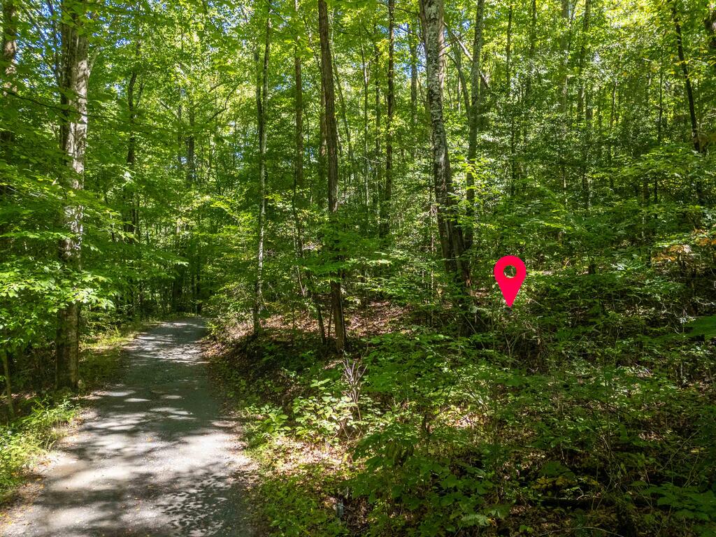 Lot 31 Cold Brook Trl