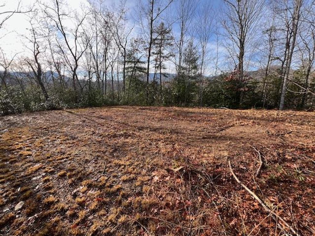 Photo of Lot #2 Tobacco Branch Road, Almond, NC 28702 (MLS # 26038186)