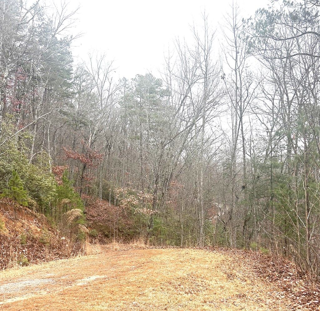 Photo of 355 Moonlight Trail, Bryson City, NC 28713 (MLS # 26045339)