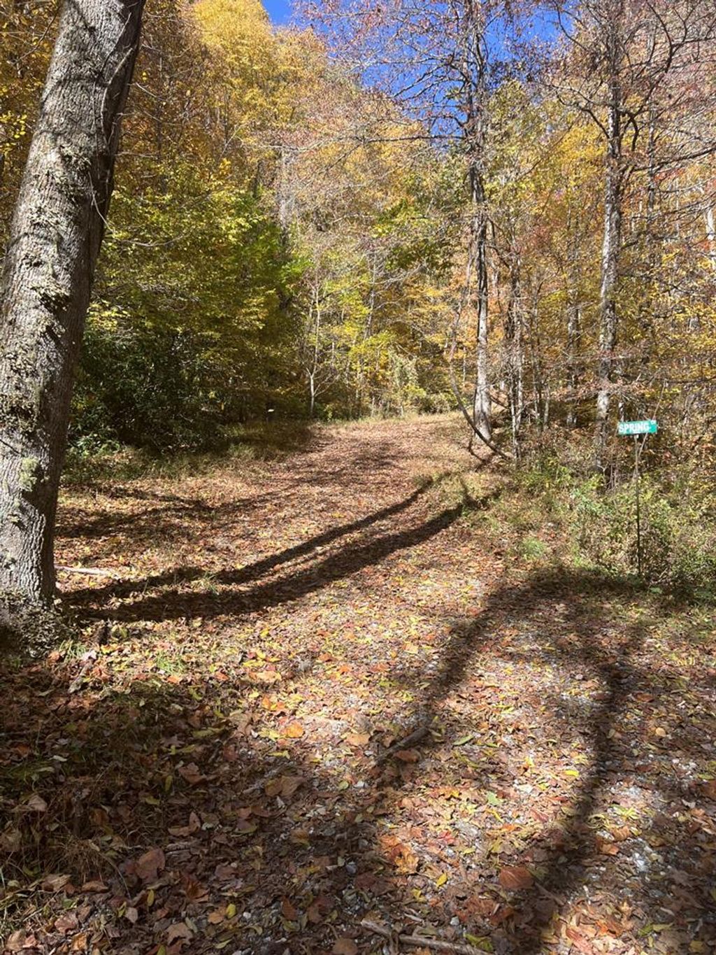 Photo of 41 High Springs Road, Bryson City, NC 28713 (MLS # 26046799)