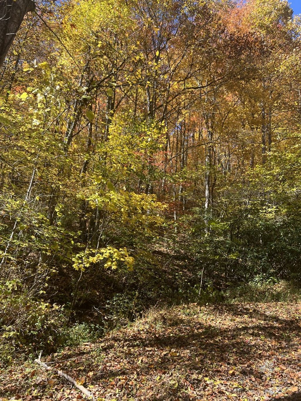 Photo of 41 High Springs Road, Bryson City, NC 28713 (MLS # 26046799)