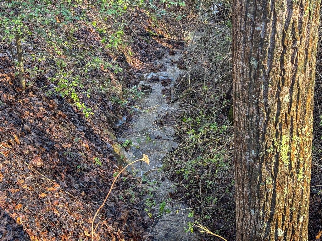 Photo of 240 Carpenter Road, Bryson City, NC 28713 (MLS # 26043006)