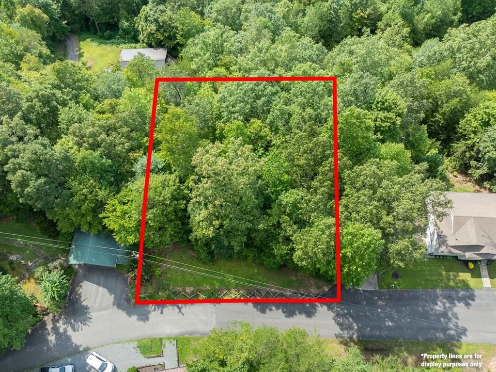 Photo of 999 West Ridge Drive, Bryson City, NC 28713 (MLS # 26041914)
