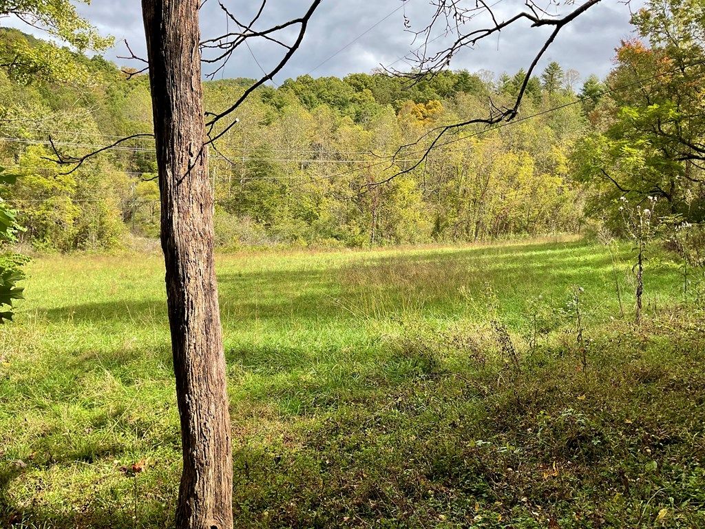 Photo of 190 Dallas Ln, Cullowhee, NC 28723 (MLS # 26042372)