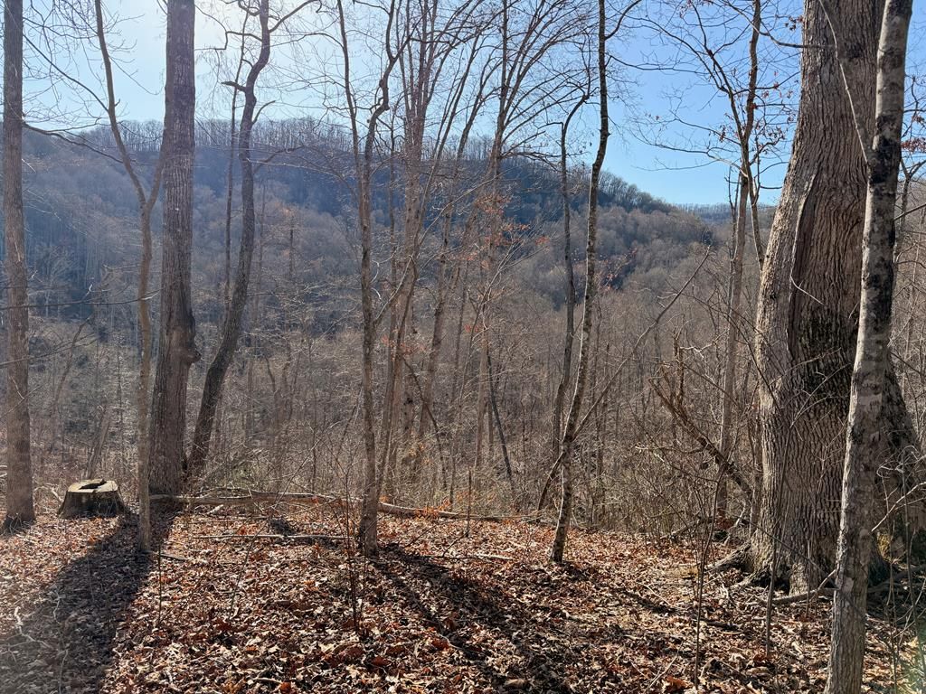Photo of 0 Posey Blanton Road, Sylva, NC 28779 (MLS # 26046646)