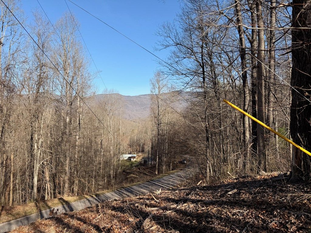 Photo of 0 Posey Blanton Road, Sylva, NC 28779 (MLS # 26046646)