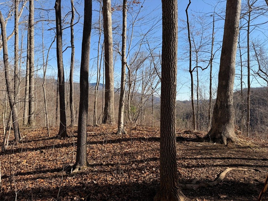 Photo of 0 Posey Blanton Road, Sylva, NC 28779 (MLS # 26046646)