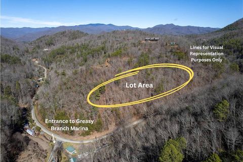 Photo of 0 Greasy Branch Rd, Bryson City, NC 28713 (MLS # 26040051)