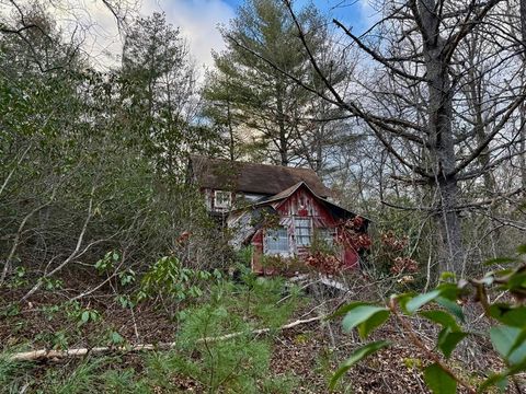 Photo of 405 Suttles Rd, Franklin, NC 28734 (MLS # 26042928)
