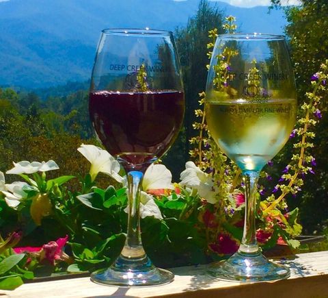 Photo of 405 Johnathan Walk Rd, Bryson City, NC 28713 (MLS # 26046816)