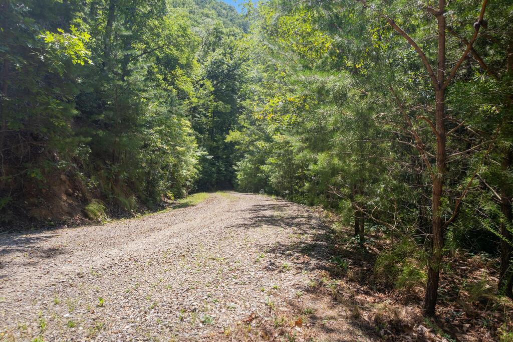 Photo of OFF Little East Fork Road, Canton, NC 28716 (MLS # 26048411)