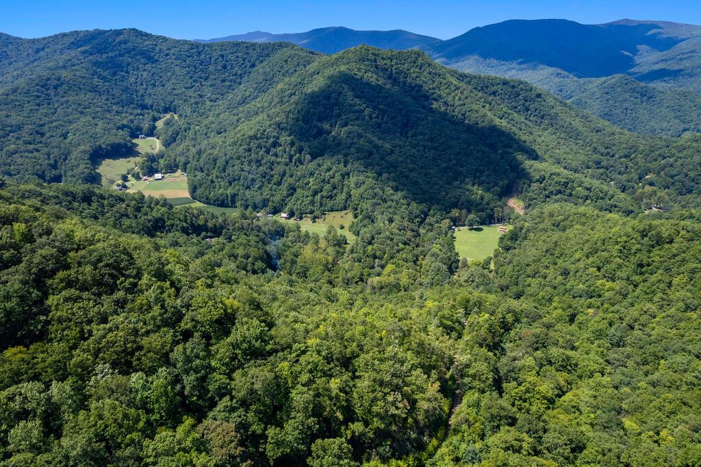 Photo of OFF Little East Fork Road, Canton, NC 28716 (MLS # 26048411)