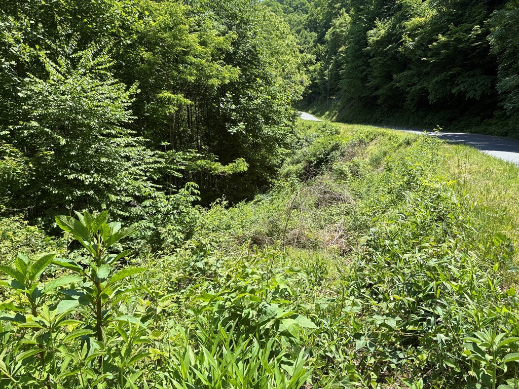 Lot 11 Timber Estates