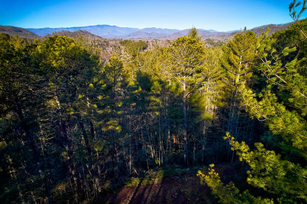 Photo of 00 Piney Cove, Bryson City, NC 28713 (MLS # 26030157)
