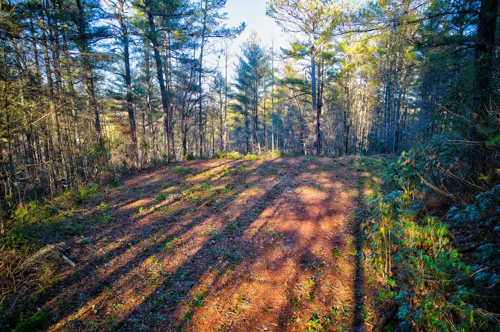 Photo of 00 Piney Cove, Bryson City, NC 28713 (MLS # 26030157)