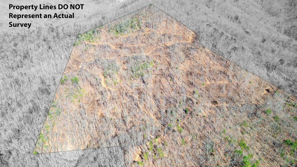 Photo of 0 Hwy 28 South, Bryson City, NC 28713 (MLS # 26040479)