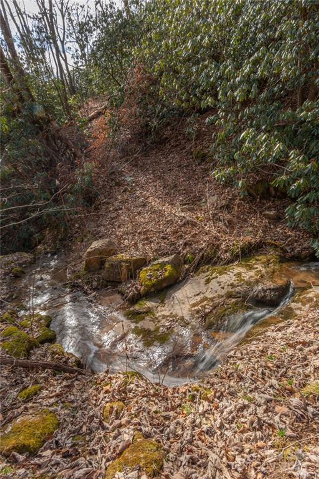 Photo of 2220 Tilley Creek Rd (Tract 1) Rd, Cullowhee, NC 28723 (MLS # 26042301)