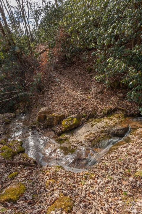 Photo of 2220 Tilley Creek Rd (Tract 1) Rd, Cullowhee, NC 28723 (MLS # 26042301)