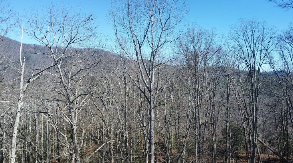 Photo of 000 Hornet, Whittier, NC 28789 (MLS # 26042820)