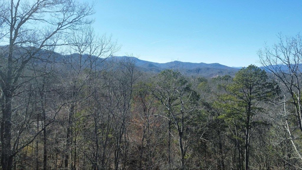 Photo of 000 Hornet, Whittier, NC 28789 (MLS # 26042820)
