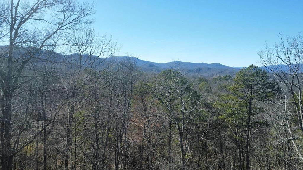 Photo of 000 Hornet, Whittier, NC 28789 (MLS # 26042820)