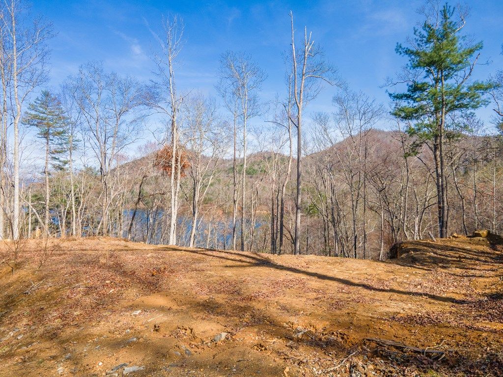 Photo of Lot 156 Mandolin Court, Tuckasegee, NC 28783 (MLS # 26042528)