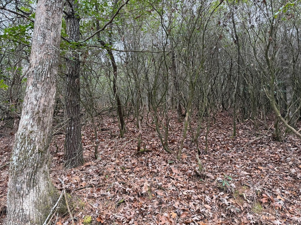 Lot 20 Ideal Acres