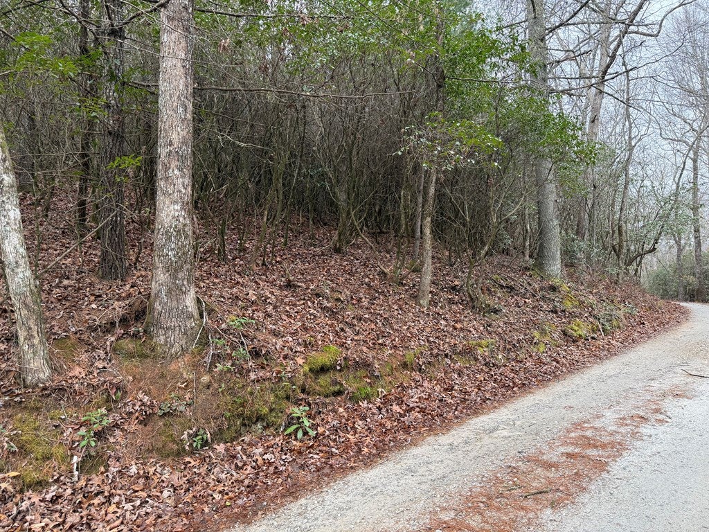 Lot 20 Ideal Acres